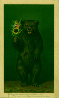 bearcard.jpg